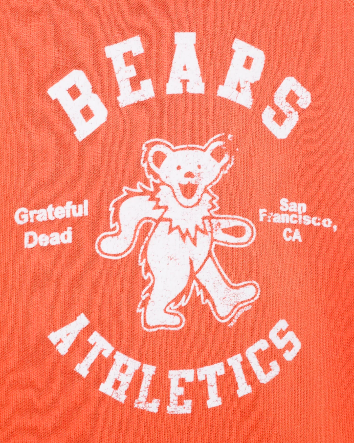 Kids Grateful Dead Bears Athletic Flocked Raglan Fleece - Image 3
