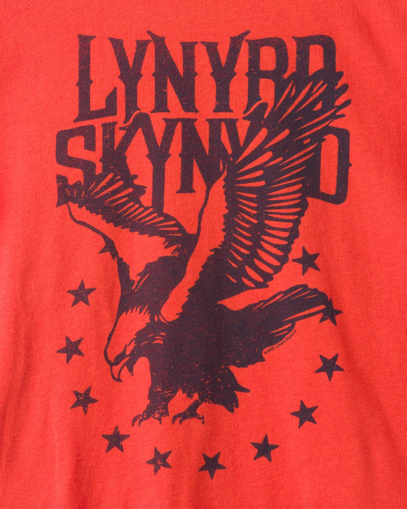 Kids Lynyrd Skynyrd Eagle Tee - Image 3