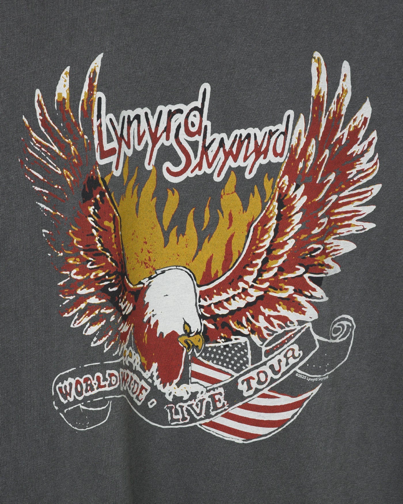Lynyrd Skynyrd Worldwide Live Tour Vintage Tee - Image 4