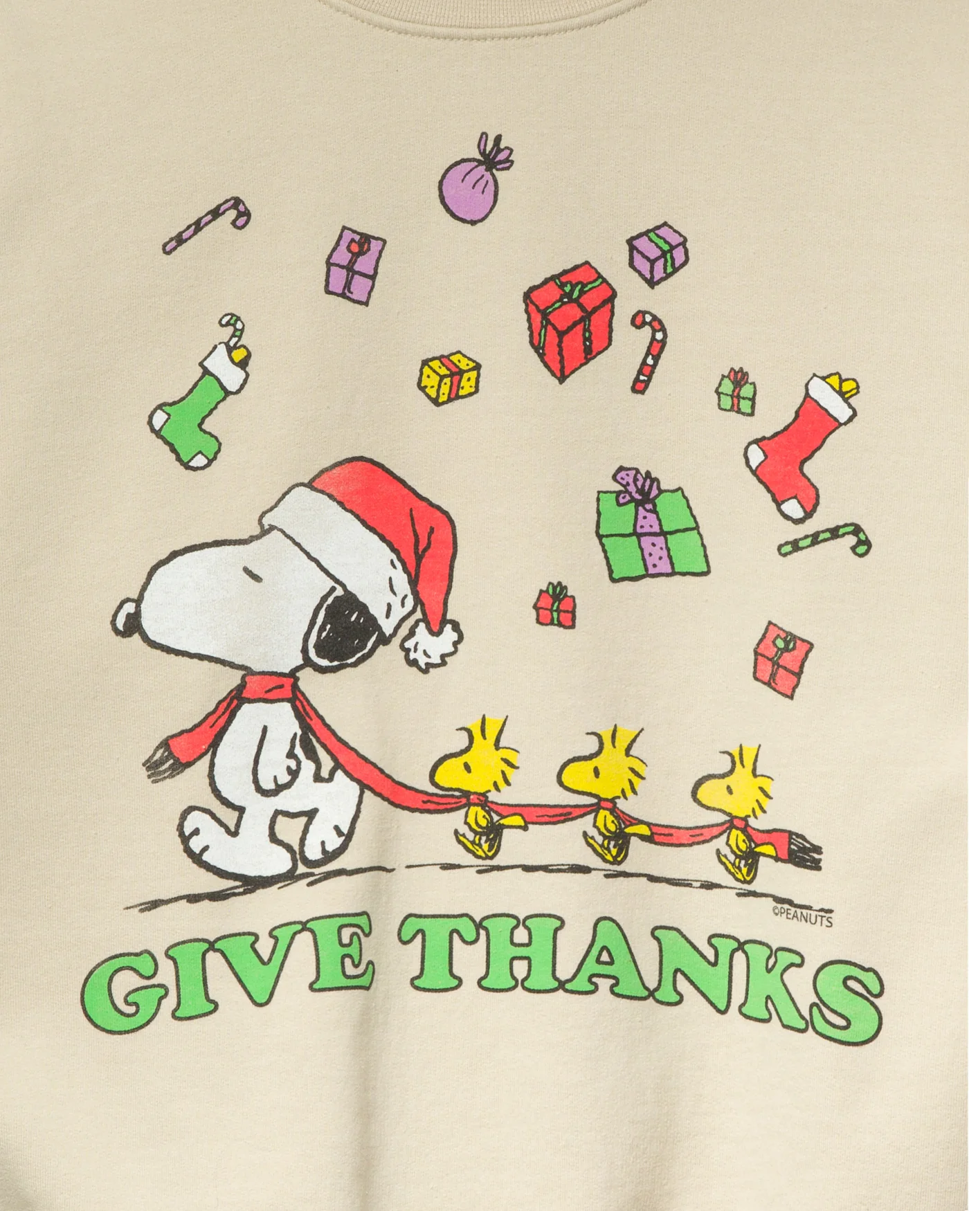 Peanuts Give Thanks Flea Market Fleece - Image 5