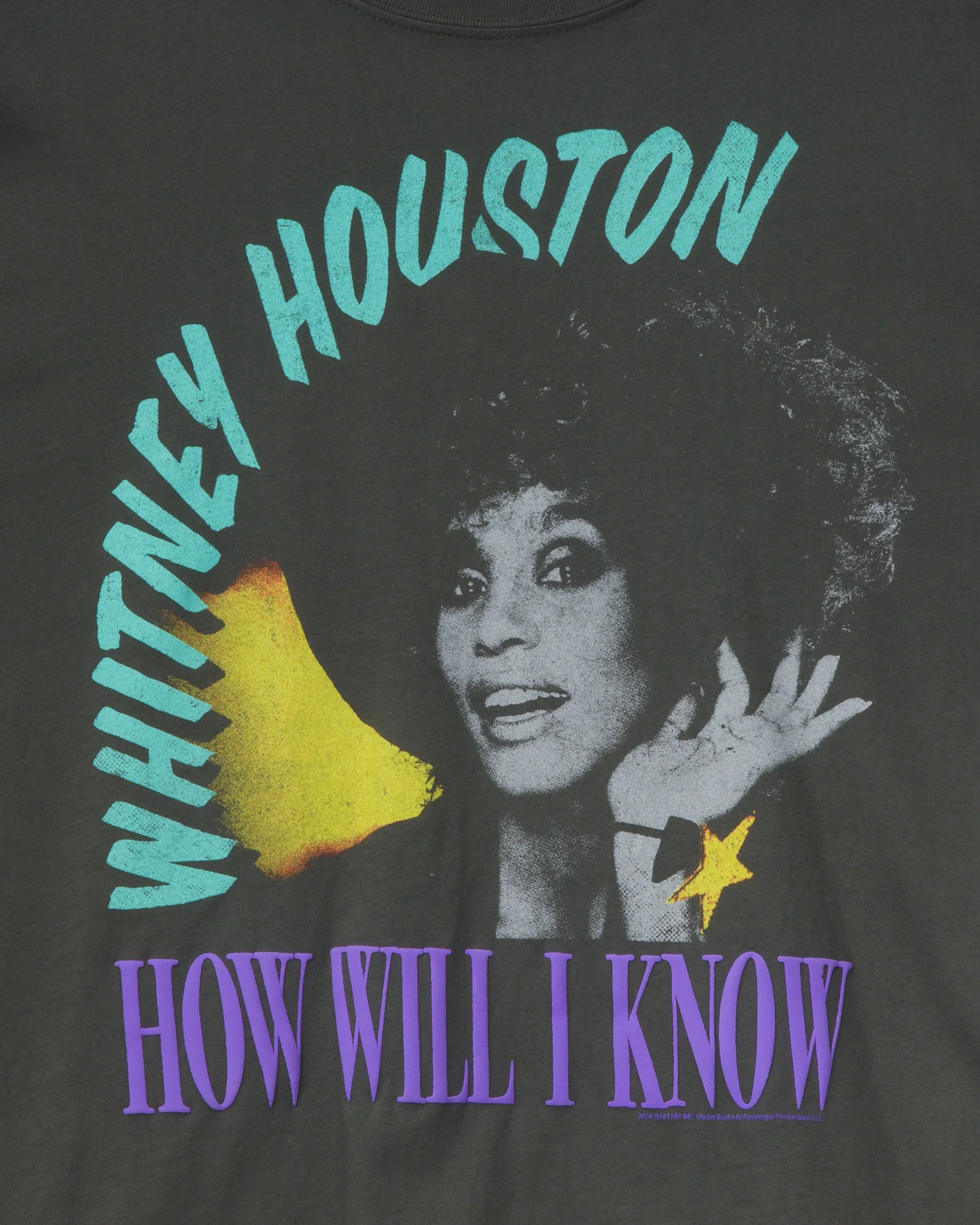 Whitney Houston How Will I Know Oversized Tee - Image 3